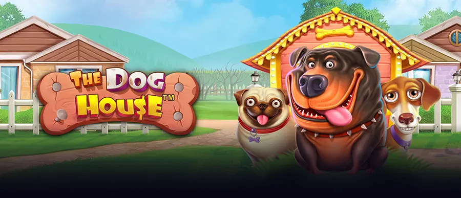 도그 하우스 온라인 슬롯