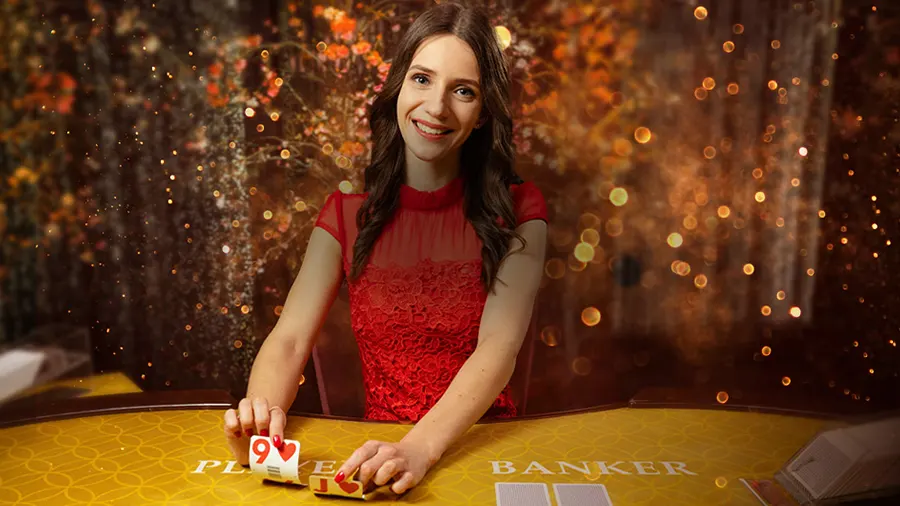 라이브 바카라 소개