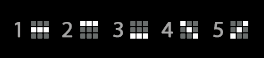 럭키 타이거 1000 슬롯 페이라인