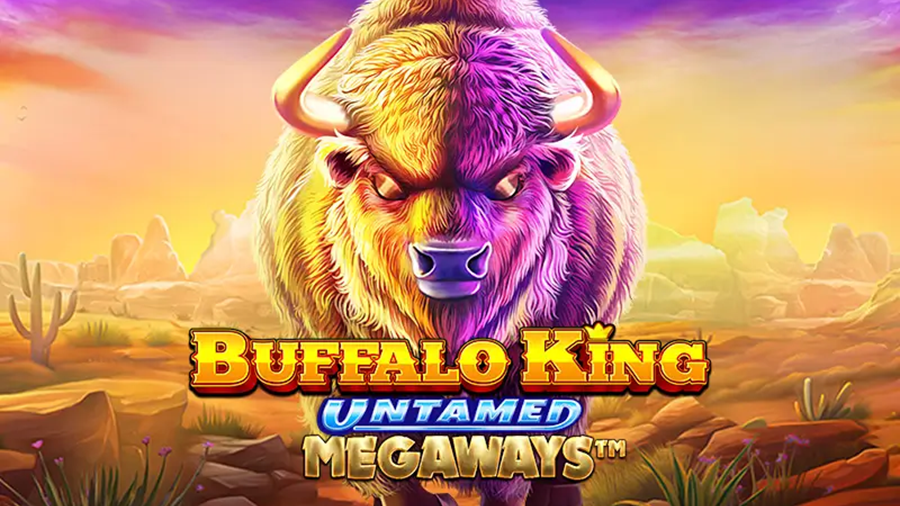 버팔로킹 언테임드 메가웨이즈 소개