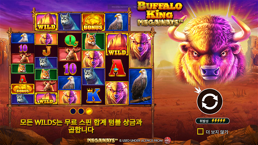 버팔로 킹 메가웨이즈 슬롯 게임 소개