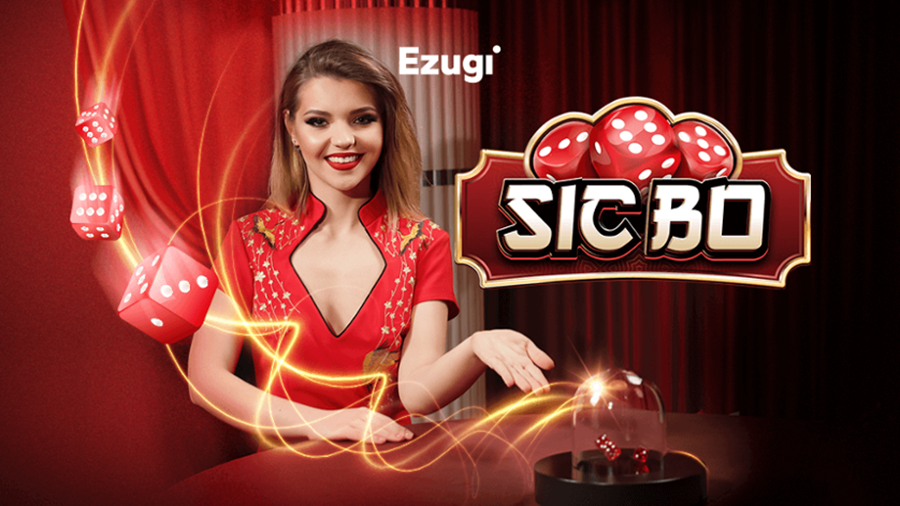 이주기 라이브 식보