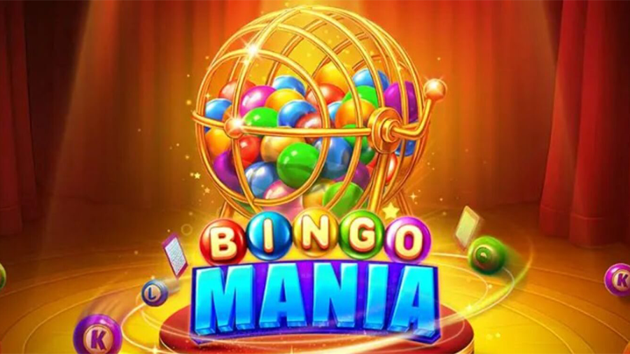 빙고 마니아 슬롯 소개