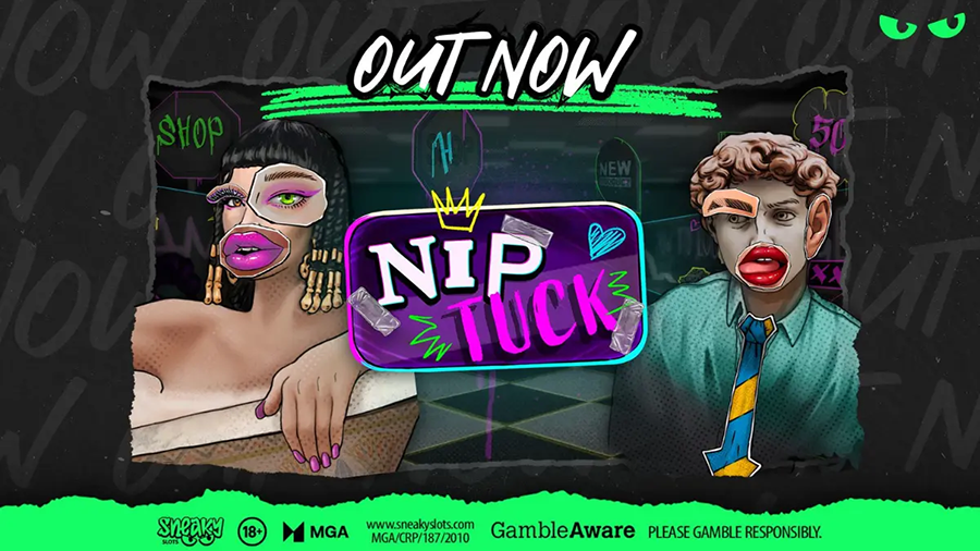 스니키 슬롯 게임 개발사의 닙턱 슬롯 소개